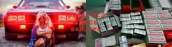 индика Арсеньев