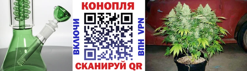 Каннабис AK-47 Родники